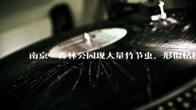 南京一森林公园现大量竹节虫，形似枯枝，网友称凑近才发现是虫子落荒而逃，竹节虫会不会咬人？碰到它会怎样？