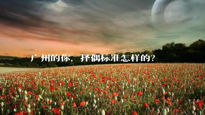 广州的你，择偶标准怎样的？
