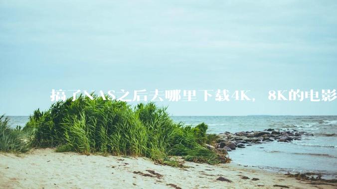 搞了NAS之后去哪里下载4K，8K的电影？
