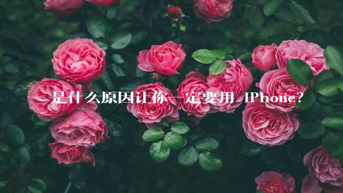 是什么原因让你一定要用 iPhone？